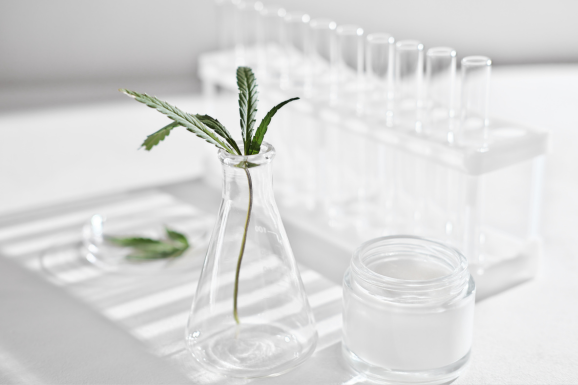 Analysis of the latest trends and changes in consumer preferences in the cosmetics industry