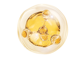 Premium Natural Ingredients