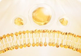 Advanced Antioxidant & Anti-Aging